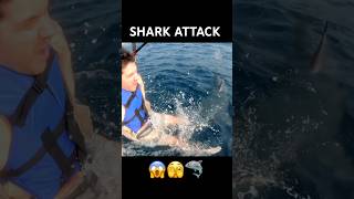 SHARK ATTACK VFX [upl. by Saunders]