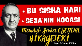 quotBu Sıska Karı  Sezanın Kocasıquot Memduh Şevket Esendal Hikayeleri [upl. by Nnalyrehs]