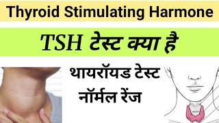 Thyroid Function Test  T3  T4 amp TSH Normal Range  Thyroid Symptoms [upl. by Redfield]