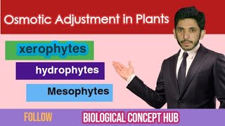 Osmotic adjustment in plants comparison of hydrophytes mesophytes and halophytes First year [upl. by Ardnahs]