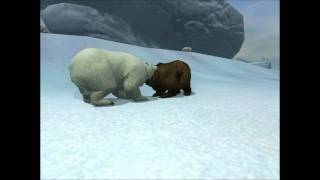 Polar bear vs Kodiak bear [upl. by Brewer]