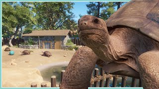 Aldabra Giant Tortoise Habitat  Lost Creek  Planet Zoo Speed Build [upl. by Alrats]