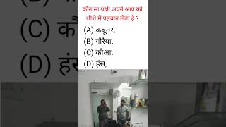 कौन सा पक्षी अपने आप को शीशे में पहचान लेता है  gk gkinhindi viral gkquiz gkq gkquestion gkq [upl. by Gluck]