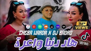 Cheba Warda × Dj Badro  Hadi Denya Wa3ra  Beat Trap Rai  2024 [upl. by Reizarf778]