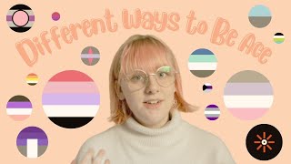 14 Asexual Spectrum Identities  Different Ways to Be Ace [upl. by Usanis]