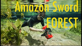 Giant Amazon sword plant forest  Echinodorus and Ancistrus in nature [upl. by Notlehs]