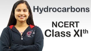 Hydrocarbons Page 397 Q 1310 Class 11 CBSE Chemistry [upl. by Junna970]