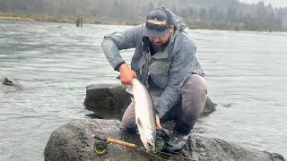 Stave River huge hatchery coho on the fly [upl. by Inverson894]