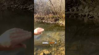 How to catch trout Berkley White Minnow [upl. by Raval]