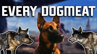 Every Fallouts Dogmeat Lore [upl. by Anihs490]