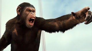 Apes vs Humans  Battle For The Bridge Scene  Rise of the Planet of the Apes 2011 [upl. by Nnoved]