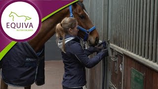 Reiter Turnier amp Kostüm 😍 Parcour mit Pony reiten Pferde Wettbewerb  Clarielle Mamiseelen [upl. by Leslie513]