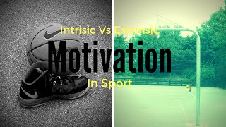 Intrinsic amp Extrinsic Motivation Which Is Better [upl. by Damicke]