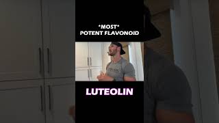 1 Most Powerful Flavonoid in the WORLD Luteolin Increase in TESTOs shorts short hormones [upl. by Piero]