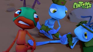 Ant Down ⛑🏳 ANTIKS Funny Cartoons For All The Family [upl. by Becker]