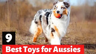 9 Best Dog Toys for Australian Shepherds [upl. by Lyda630]