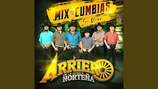 Mix De Cumbias En Vivo [upl. by Einimod222]