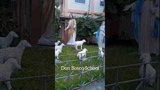 Don Bosco schooldailyvlog [upl. by Perkin]