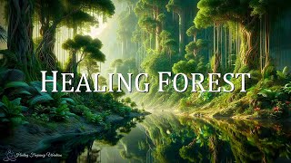 HEALING FOREST AMBIENCE  852Hz  639Hz  417Hz  Awaken Intuition Attract Love Release Negativity [upl. by Nnalorac]