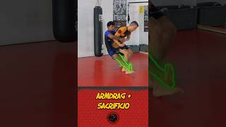 ⚡​ArmDrag  Sacrificio ⚡​​ bjjenespañol mma grappling escueladegrappling bjj jiujitsu ufc [upl. by Anan817]