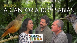 A cantoria dos sabiás [upl. by Mckeon]