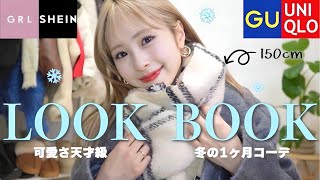 【完全版】可愛すぎる冬コーデたっぷり30選！プチプラ1ヶ月LOOKBOOK☃️ [upl. by Idak]