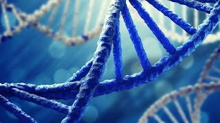 DNA Science  Human Race and Genetics Documentary [upl. by Thebault]