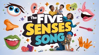 The Five Senses Song  Nursery Rhymes amp Kids Songs peekaboozone [upl. by Yolanda]