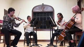 Inspiration String Quartet Perform Schuberts Rosamunde  Part 3 [upl. by Jamima266]