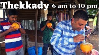 A day at Thekkady Kerala Episode 6 Periyar National Park Things to do in Thekkady [upl. by Sedberry]