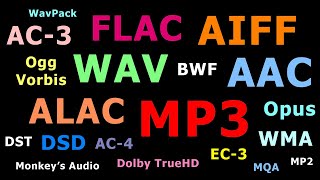 Explaining Audio File Formats [upl. by Vilhelmina]