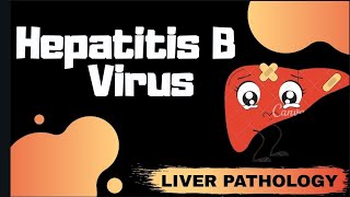 Hepatitis B Virus  Liver Pathology   Med Bees [upl. by Duleba]