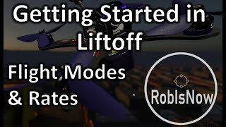 Getting Started in Liftoff 3  flight modes and rates [upl. by Perlis]