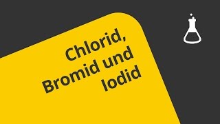 Chlorid Bromid und Iodid nachweisen  Chemie  Analytische Chemie [upl. by Joao99]