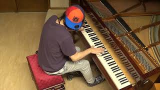 Dimitri Vegas Like Mike Tiësto Dido WampW  Thank You  piano cover acoustic unplugged by LIVE DJ FLO [upl. by Lyreb]