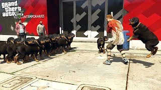 ATTACKED BY A PACK OF DOGS IN GTA 5  DOG INVASION [upl. by Ahsikan]