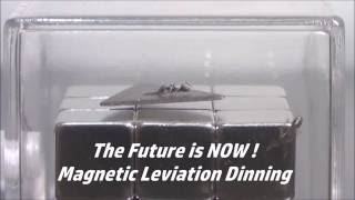 Magnetic Levitating ANTS [upl. by Enttirb64]