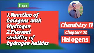 lec2 Reaction of Halogens with hydrogen  Thermal stability of hydrogen halides [upl. by Felicidad]