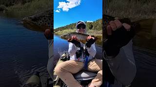 Fishing from my pontoon boat is my new favorite thing flyfishing pontoonboat fishing outdoors [upl. by Leno]