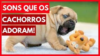 SONS que os cachorros ADORAM ouvir Assista com seu cão [upl. by Aman626]