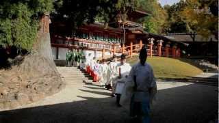 旅の星 Tabinohoshi 「春日大社 旬祭と紅葉」 Kasuga Taisha Japan vol5 [upl. by Boigie955]