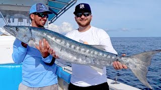 Giant Barracudas Crushing Topwater Baits with Seal Skin Covers [upl. by Angi859]