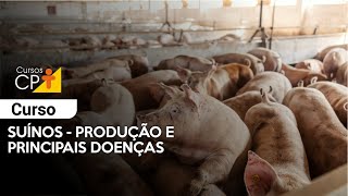 Suínos  Produção e Principais Doenças l Cursos CPT [upl. by Auos961]