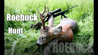 7mm Rem Mag vs buck Roebuck hunting 2017 Bockjagd 2017 [upl. by Atilehs]