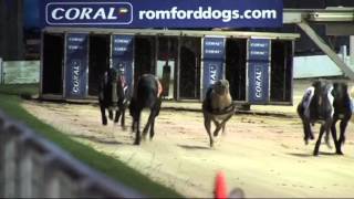 INTRALOT Racing Live Greyhound Racing 2014 [upl. by Deb]