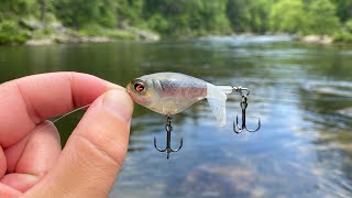 River Bass LOVE the Whopper Plopper 60 [upl. by Ravid]