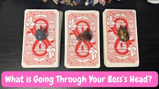 Your Boss’s SECRET THOUGHTS Towards You 💭 Pick a Card Timeless Tarot Love Reading ✨ [upl. by Zumwalt792]