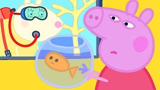 Peppa Pig Finds Goldie the Fish a New Friend [upl. by Bickart]