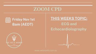 ECG and Echocardiography [upl. by Oznecniv920]