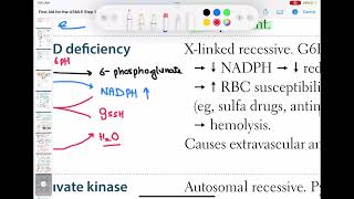 G6PD haematology 49 First Aid USMLE Step 1 in UrduHindi [upl. by Lehrer]